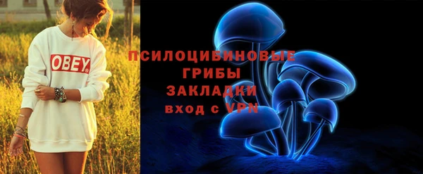 ECSTASY Абаза