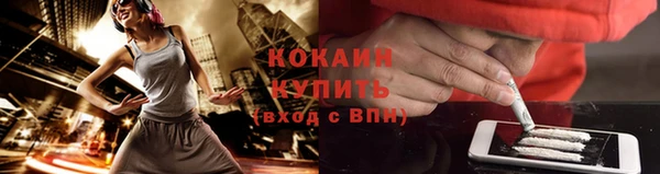 соль ск Переславль-Залесский