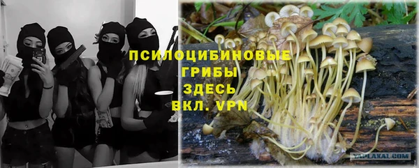 гидропоника Абдулино