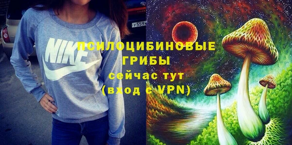 молекула духа Абинск