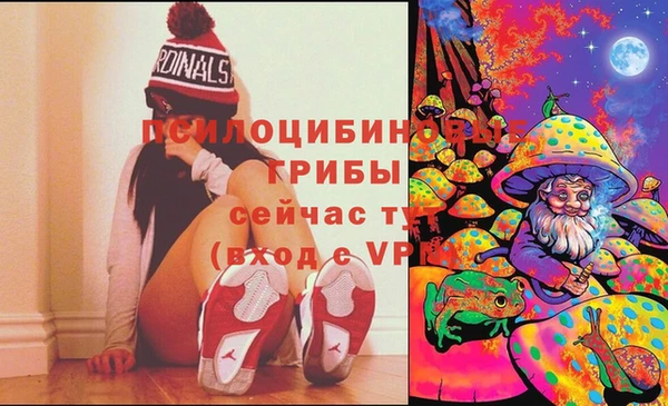 молекула духа Абинск