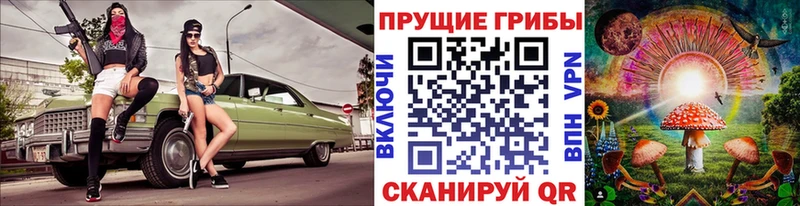 Псилоцибиновые грибы Cubensis  Лысково 
